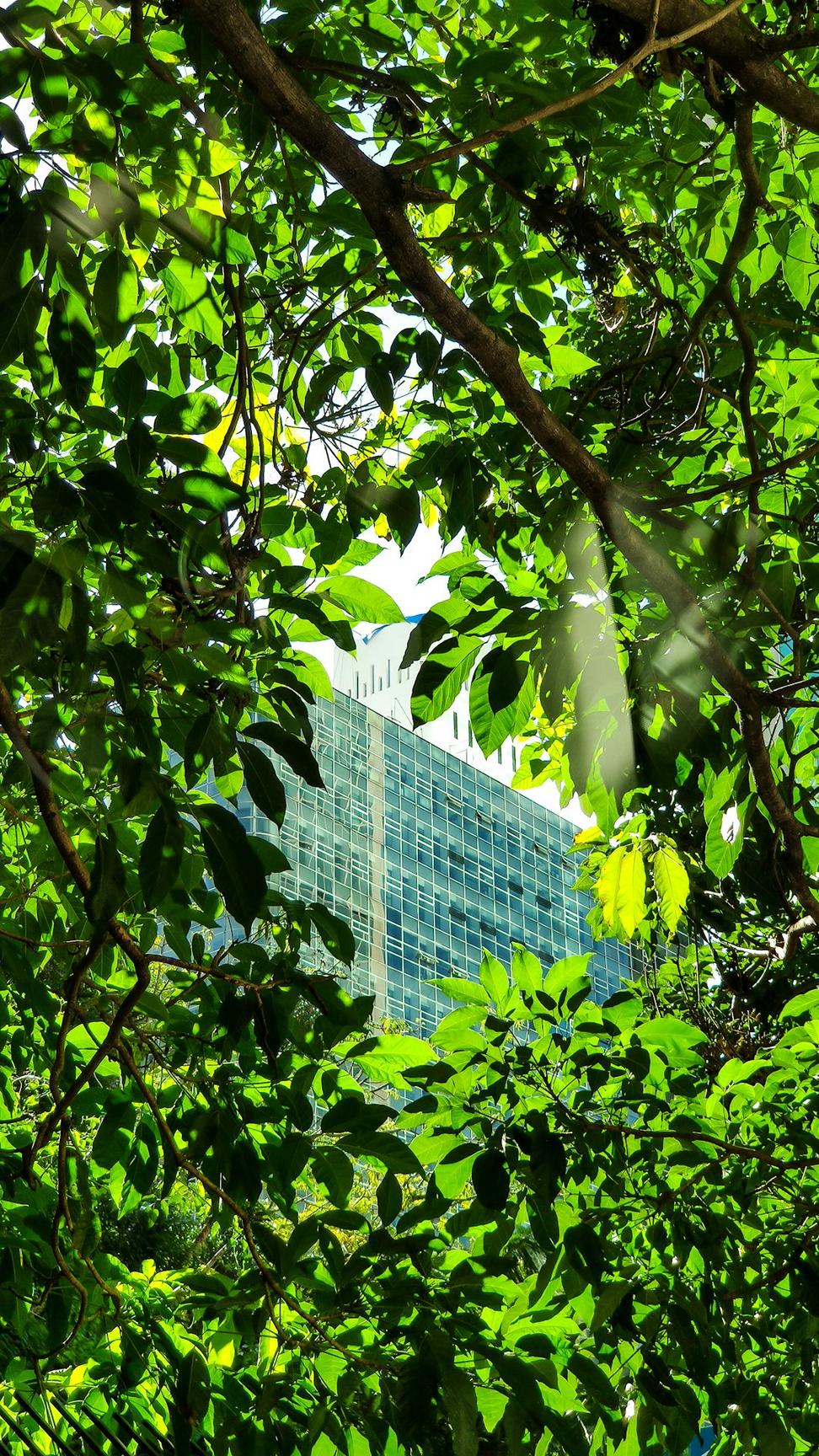 Sustainable Office Building